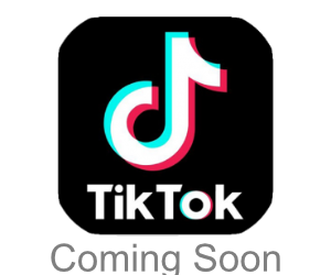 Tiktok Logo for Spearhead Online Integrations